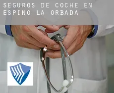 Seguros de coche en  Espino de la Orbada