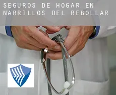 Seguros de hogar en  Narrillos del Rebollar