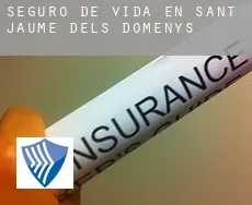 Seguro de vida en  Sant Jaume dels Domenys