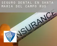 Seguro dental en  Santa María del Campo Rus