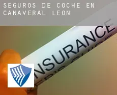 Seguros de coche en  Cañaveral de León