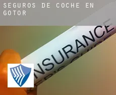 Seguros de coche en  Gotor