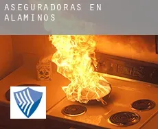 Aseguradoras en Alaminos