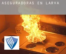 Aseguradoras en  Larva