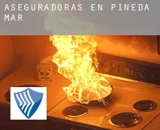 Aseguradoras en  Pineda de Mar