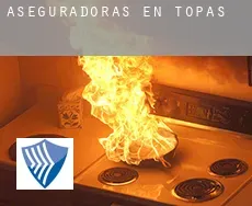 Aseguradoras en  Topas