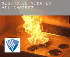 Seguro de vida en  Villangómez