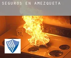 Seguros en  Amezketa