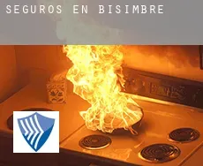 Seguros en  Bisimbre