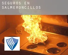 Seguros en  Salmeroncillos