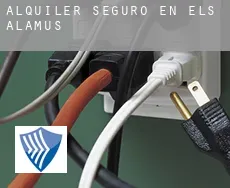 Alquiler seguro en  els Alamús
