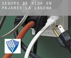 Seguro de vida en  Pajares de la Laguna