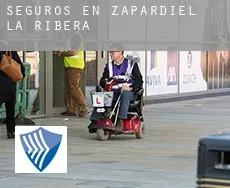 Seguros en  Zapardiel de la Ribera