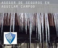 Asesor de seguros en  Aguilar de Campóo