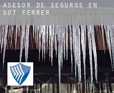 Asesor de seguros en  Sot de Ferrer