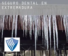 Seguro dental en  Extremadura