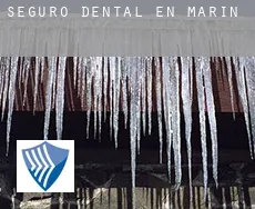Seguro dental en  Marín