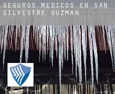 Seguros medicos en  San Silvestre de Guzmán