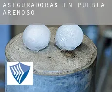Aseguradoras en  Puebla de Arenoso