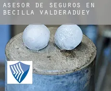 Asesor de seguros en  Becilla de Valderaduey