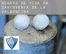 Seguro de vida en  Santovenia de la Valdoncina