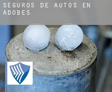 Seguros de autos en Adobes