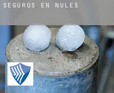 Seguros en  Nules