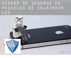 Asesor de seguros en  Pozuelos de Calatrava (Los)