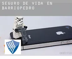 Seguro de vida en  Barriopedro