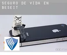 Seguro de vida en  Beseit / Beceite