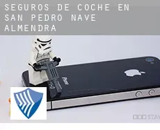 Seguros de coche en  San Pedro de la Nave-Almendra