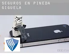 Seguros en  Pineda de Gigüela