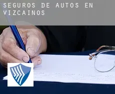 Seguros de autos en  Vizcaínos