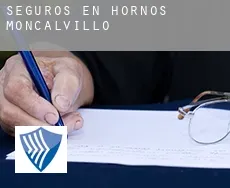 Seguros en  Hornos de Moncalvillo