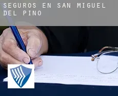 Seguros en  San Miguel del Pino