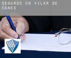 Seguros en  Vilar de Canes