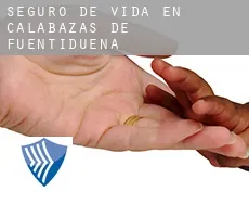 Seguro de vida en  Calabazas de Fuentidueña