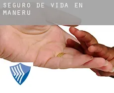 Seguro de vida en  Mañeru
