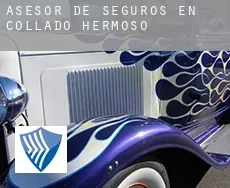 Asesor de seguros en  Collado Hermoso