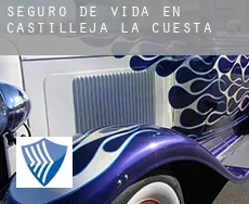 Seguro de vida en Castilleja de la Cuesta