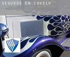 Seguros en  Covelo