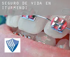 Seguro de vida en  Iturmendi