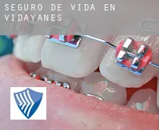 Seguro de vida en  Vidayanes