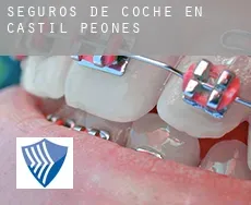 Seguros de coche en  Castil de Peones