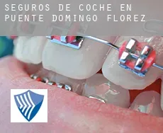 Seguros de coche en  Puente de Domingo Flórez