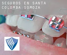 Seguros en  Santa Colomba de Somoza