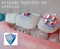 Seguros medicos en  Carbajo