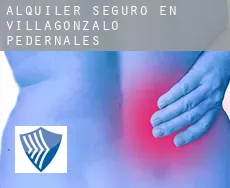 Alquiler seguro en  Villagonzalo-Pedernales