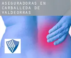 Aseguradoras en  Carballeda de Valdeorras