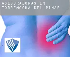 Aseguradoras en  Torremocha del Pinar